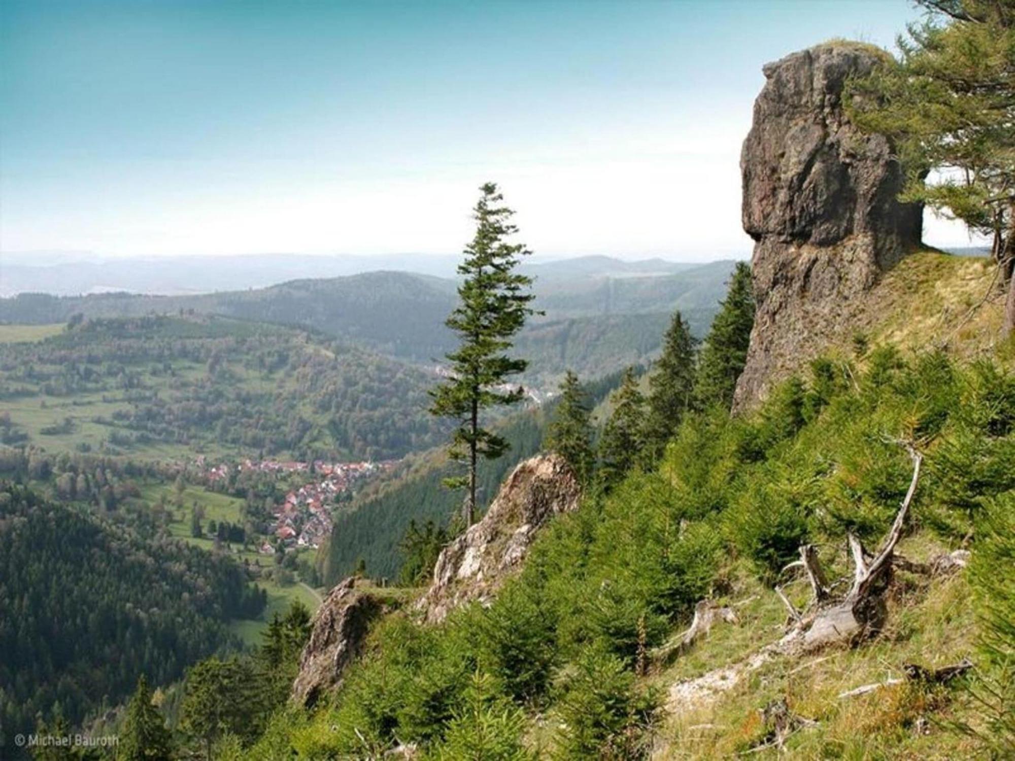 Vacation Home Am Hermannsberg, Oberschoenau Oberschonau Dış mekan fotoğraf